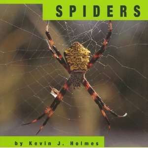  Spiders (Animals) [Paperback] Kevin J. Holmes Books
