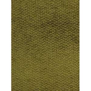  Pindler & Pindler Broderick   Fern Fabric