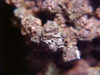 CLASSIC OLD Native Copper & Cuprite Crystal BISBEE, ARIZONA  Ex 