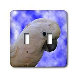 Birds   Cockatoo portrait   Light Switch Covers   double toggle switch