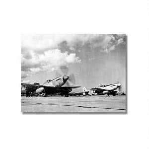  South African Air Force  9x12 Unframed Photo by Replay 