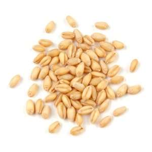 Wheat Berries, Soft White*   25 Lb Bag Grocery & Gourmet Food