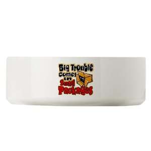  Large Dog Cat Food Water Bowl Big Trouble Comes In Small 