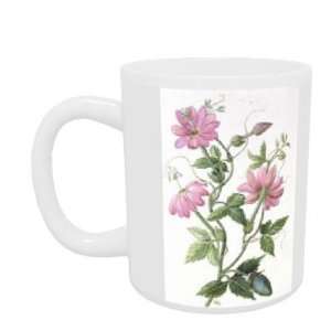 com Passion Flower (w/c on paper) by Ursula Hodgson   Mug   Standard 