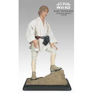    Luke Skywalker 1/4 Scale Star Wars Action Figure: Toys & Games