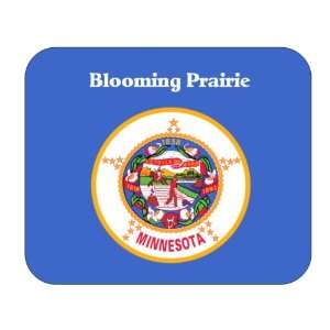  US State Flag   Blooming Prairie, Minnesota (MN) Mouse Pad 