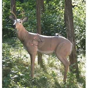  Blueridge® Monster Whitetail Deer Target Sports 