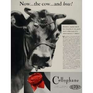   Vintage Ad Cellophane DuPont Milk Bottle Dairy Cow   Original Print Ad