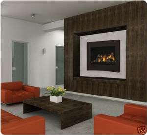 Napoleon BGD36CFNTR Clean Face Gas Fireplace   please call for more 