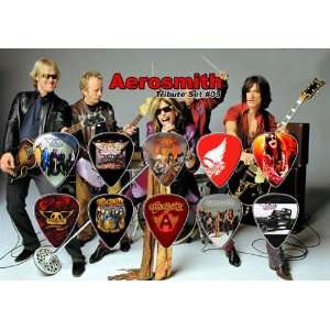  Aerosmith Guitar Pick Display   Premium Celluloid Tribute 
