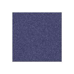   Aladdin Sensational Style Patriot Carpet Flooring