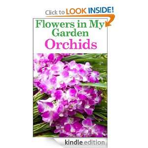 Flowers in My Garden   Orchids (Gardening Tips   Flowers in My Garden 