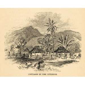  Wood Engraving Cottages Interior Brazil Forest Jungle Architecture 