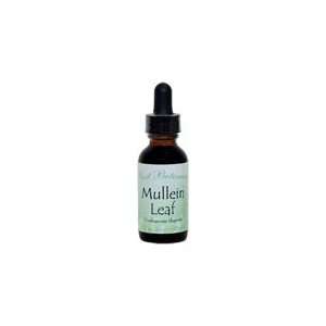 Mullein Leaf Extract 1 oz.