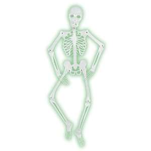  5 Foot Glow In The Dark Skeleton Toys & Games