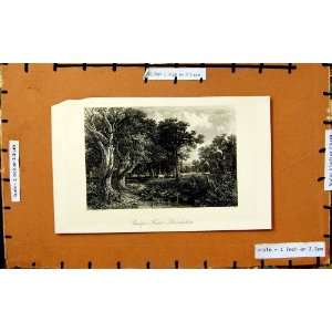   C1790 C1890 Cadzow Forest Lanarkshire Scotland Print