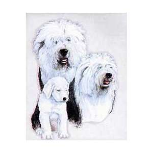  Old English Sheepdog Shirts