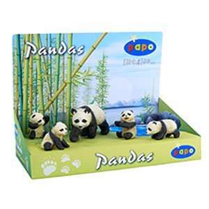  Display Box   Panda Family: Toys & Games