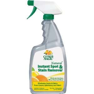   Magic Instant Spot and Stain Remover   22 Oz