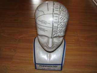 BIG & EARLY W/ HEAVY CRAZING PHRENOLOGY MEDICAL MANNEQUIN  