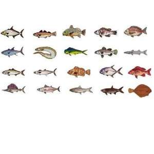   Embroidery Machine Designs CD SALTWATER GAME FISH 1