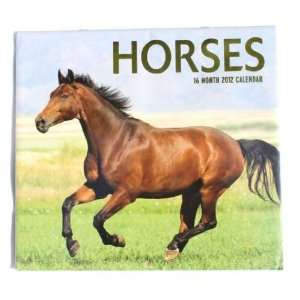  Horses 16 Month 2012 Calendar: Everything Else