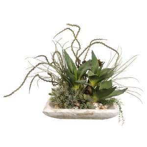  20Hx23Wx21L Succulents on Cement Plate Green Coffee