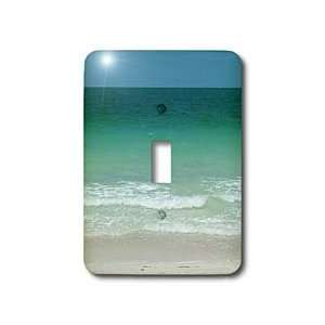   Landscapes   Gulf View   Light Switch Covers   single toggle switch