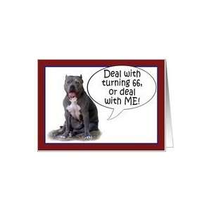  Pit Bull, Deal with it! Turning 66 Card: Toys & Games