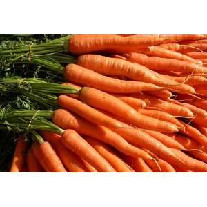   Japanese Imperial Long Carrot Seeds   .5 grams Patio, Lawn & Garden