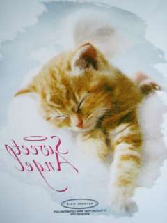 Sleeping Cream Tabby Cat, Sweet Angel Wings Shirt~6 12 18 months 2T 3T 