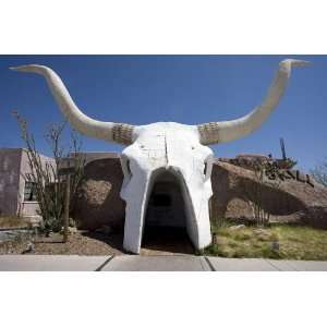     Cattle head restaurant Tucson Arizona 24 X 17: Everything Else