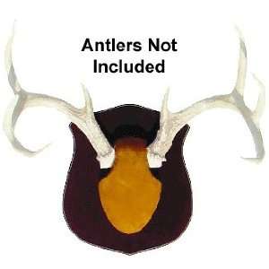   True Classic Mounting Kit for Hunting Trophy Antlers: Everything Else