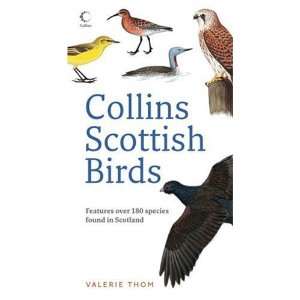  Collins Scottish Birds [Paperback] Valerie Thom Books