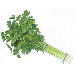  Chinese Celery Nan Ling Seeds 6 Grams Patio, Lawn 