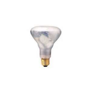  Shatter Resistant Flood Light Bulbs: Home Improvement