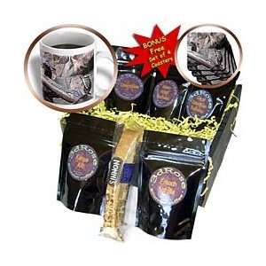Beverly Turner Photography   Monkeys on a Log   Coffee Gift Baskets 