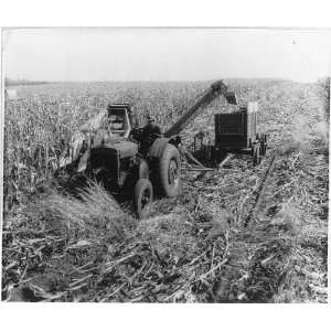  Corn Picking Machine,Ames,Iowa,IA,Wagon Tognue,1933