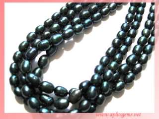 Fresh water Pearl 5mm Deep Blue oval Rice Beads  