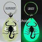 REAL BLACK SCORPION GLOW LUCITE KEYRING KEYCHAIN INSECT