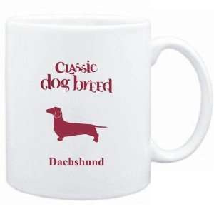    Mug White  Classic Dog Breed Dachshund  Dogs: Sports & Outdoors