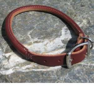  Circle T Leather Dog Collar Rolled Latigo 10 inch: Pet 