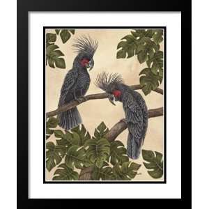 Dianne Krumel Framed and Double Matted Art 25x29 Black Palm Cockatoos 
