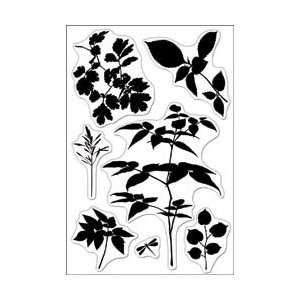 Hero Arts Clear Stamps 4X6 Sheet   Delicate Leaf Clusters by Hero Arts 