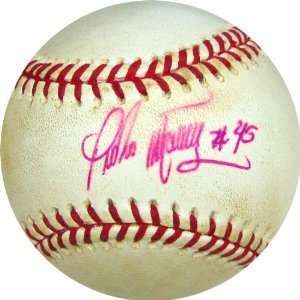 Pedro Martinez Autographed Baseball Sports Collectibles