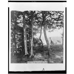  Top of Starved Rock,1866,Illinois,IL,Man in woods