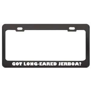 Got Long Eared Jerboa? Animals Pets Black Metal License Plate Frame 