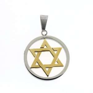    Stainless Steel 2 Tone Jewish Star of David Pendant Jewelry