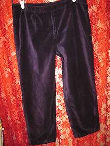 Purple Velvet Zip Front Pants by Ann Taylor Loft 12 Petite  