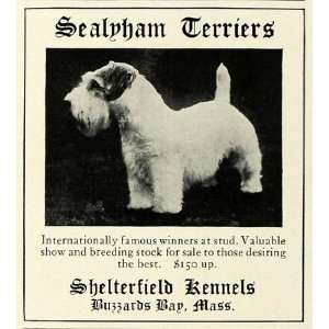  1931 Ad Sealyham Terrier Pet Dog Breeders Shelterfield Kennels 